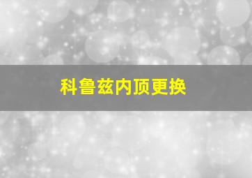 科鲁兹内顶更换