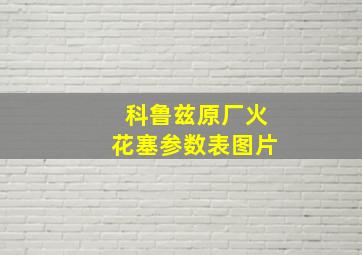 科鲁兹原厂火花塞参数表图片