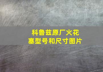 科鲁兹原厂火花塞型号和尺寸图片