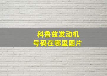 科鲁兹发动机号码在哪里图片