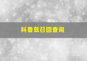 科鲁兹召回查询