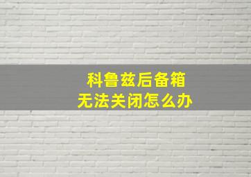 科鲁兹后备箱无法关闭怎么办