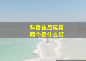 科鲁兹后尾箱两个是什么灯