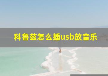 科鲁兹怎么插usb放音乐