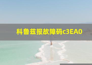 科鲁兹报故障码c3EA0