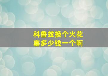 科鲁兹换个火花塞多少钱一个啊