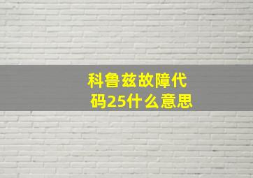 科鲁兹故障代码25什么意思