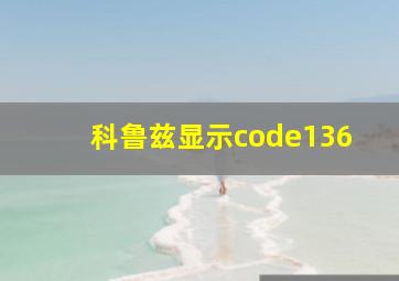 科鲁兹显示code136