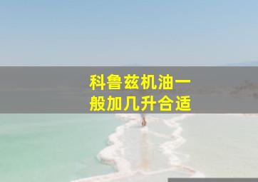 科鲁兹机油一般加几升合适