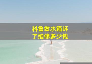 科鲁兹水箱坏了维修多少钱