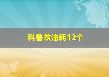 科鲁兹油耗12个