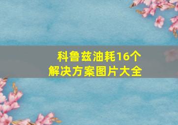 科鲁兹油耗16个解决方案图片大全