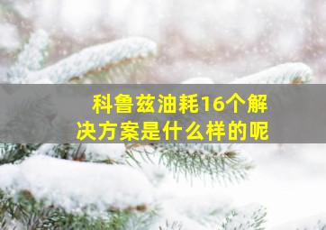 科鲁兹油耗16个解决方案是什么样的呢