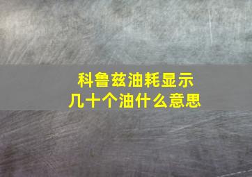 科鲁兹油耗显示几十个油什么意思