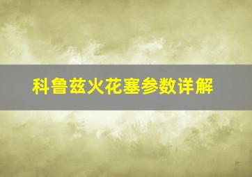 科鲁兹火花塞参数详解