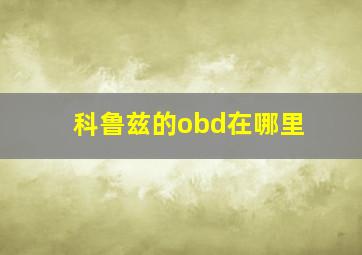 科鲁兹的obd在哪里