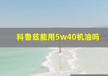 科鲁兹能用5w40机油吗