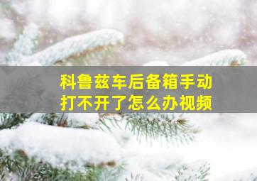 科鲁兹车后备箱手动打不开了怎么办视频