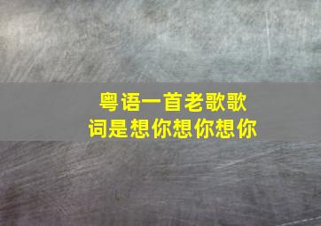 粤语一首老歌歌词是想你想你想你