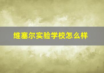 维塞尔实验学校怎么样