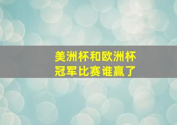 美洲杯和欧洲杯冠军比赛谁赢了