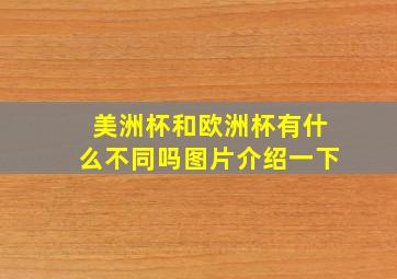 美洲杯和欧洲杯有什么不同吗图片介绍一下