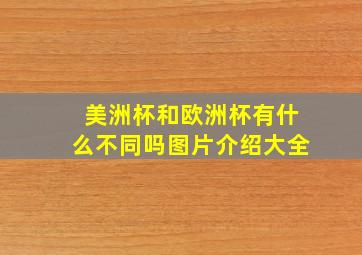 美洲杯和欧洲杯有什么不同吗图片介绍大全