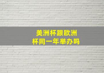 美洲杯跟欧洲杯同一年举办吗