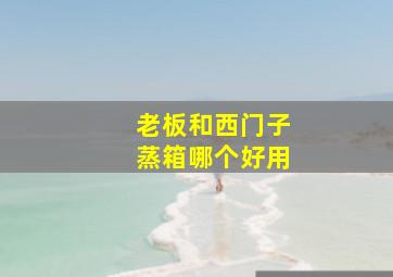 老板和西门子蒸箱哪个好用