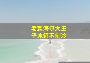 老款海尔大王子冰箱不制冷