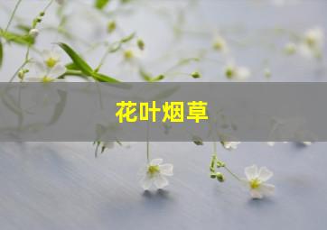 花叶烟草