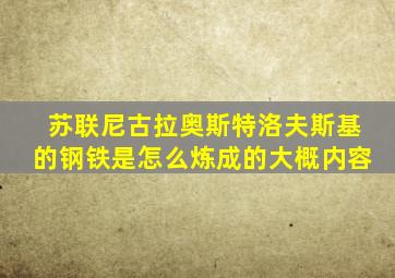 苏联尼古拉奥斯特洛夫斯基的钢铁是怎么炼成的大概内容