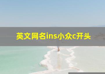 英文网名ins小众c开头