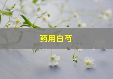 药用白芍