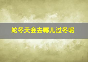 蛇冬天会去哪儿过冬呢