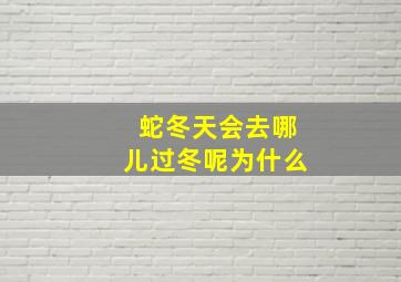 蛇冬天会去哪儿过冬呢为什么