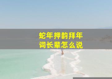 蛇年押韵拜年词长辈怎么说