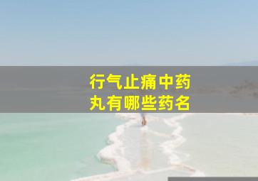 行气止痛中药丸有哪些药名