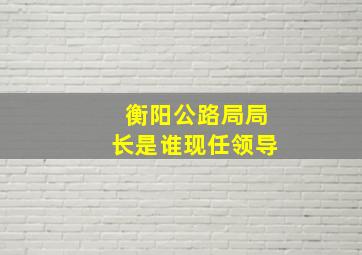 衡阳公路局局长是谁现任领导