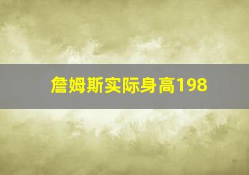 詹姆斯实际身高198