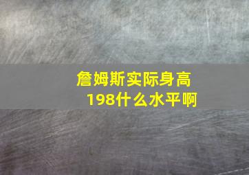 詹姆斯实际身高198什么水平啊