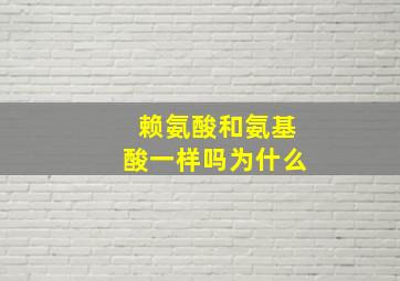 赖氨酸和氨基酸一样吗为什么