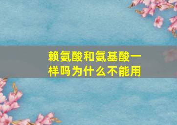 赖氨酸和氨基酸一样吗为什么不能用