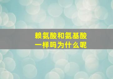 赖氨酸和氨基酸一样吗为什么呢