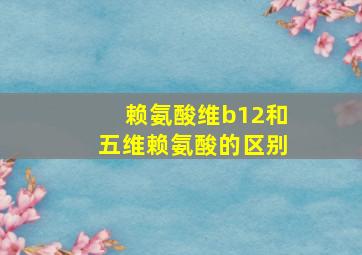 赖氨酸维b12和五维赖氨酸的区别