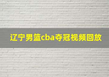 辽宁男篮cba夺冠视频回放