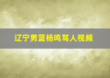 辽宁男篮杨鸣骂人视频