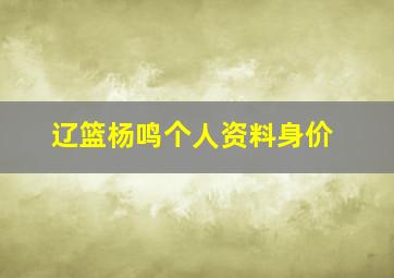 辽篮杨鸣个人资料身价