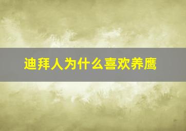 迪拜人为什么喜欢养鹰