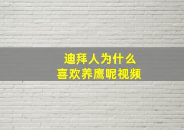 迪拜人为什么喜欢养鹰呢视频